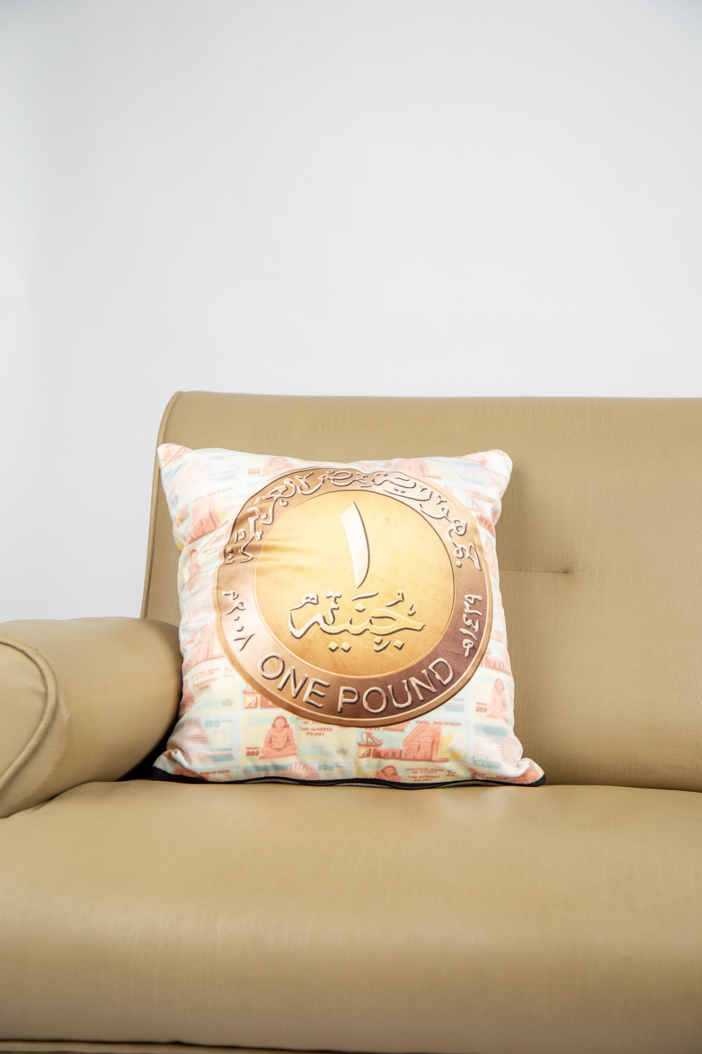 1 EGY Pound Polyester Cushion