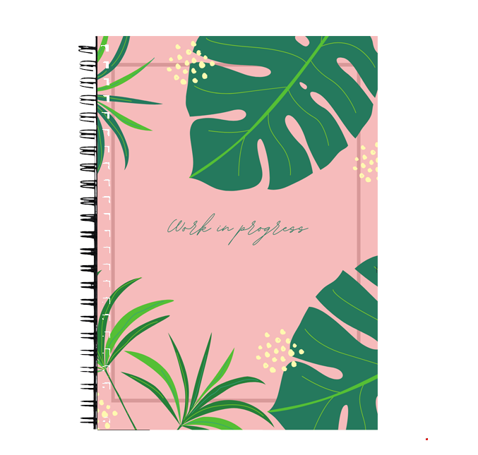 Work in Progress Notebook