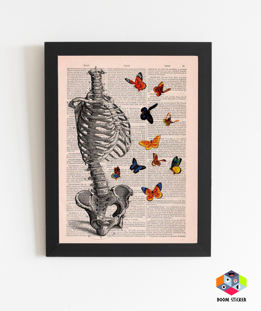 Body bones Poster