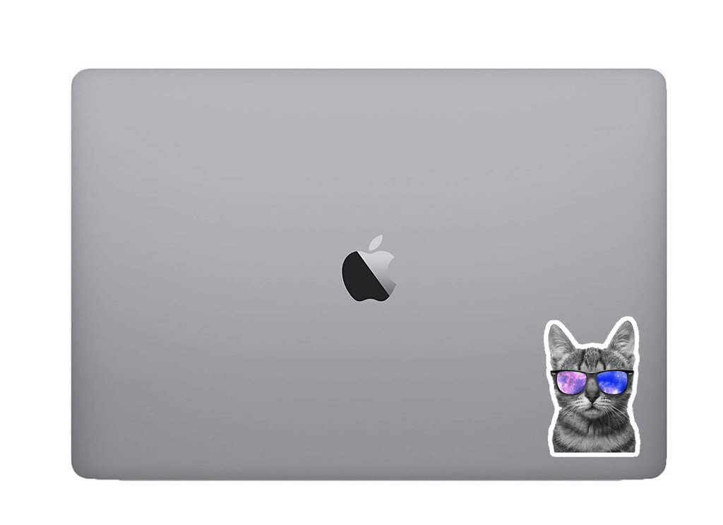Cool Cat Sticker